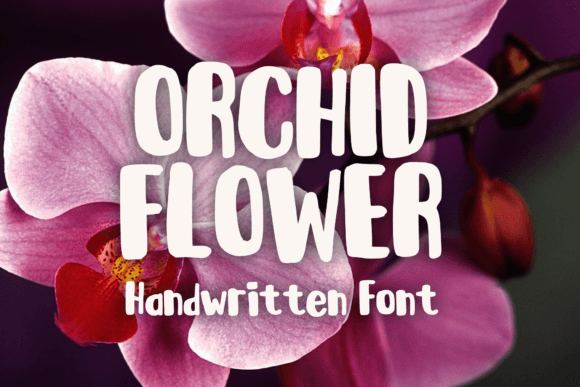 Orchid Flower: A Versatile Handwritten Display Font
